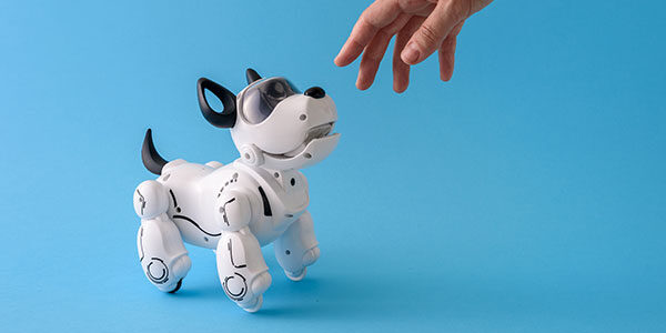 RoboticDog